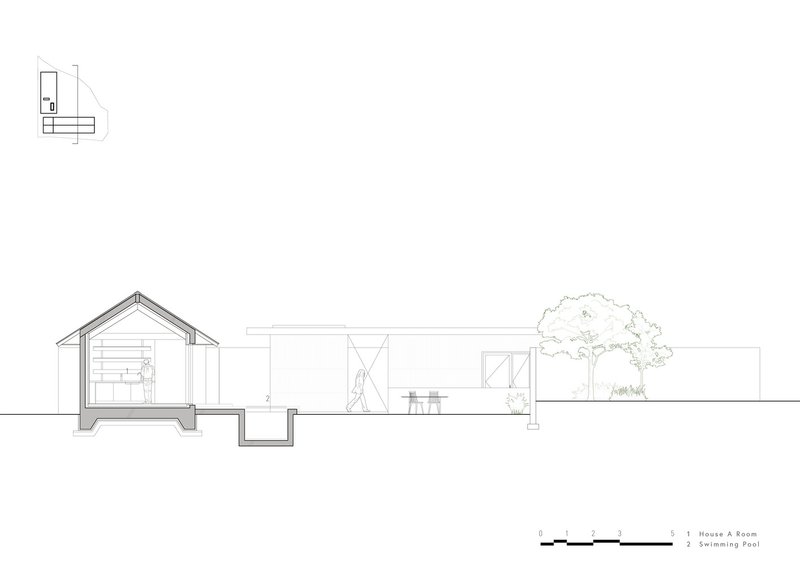 Section drawing showing a gabled space with pool, connecting to outdoor areas and a tree