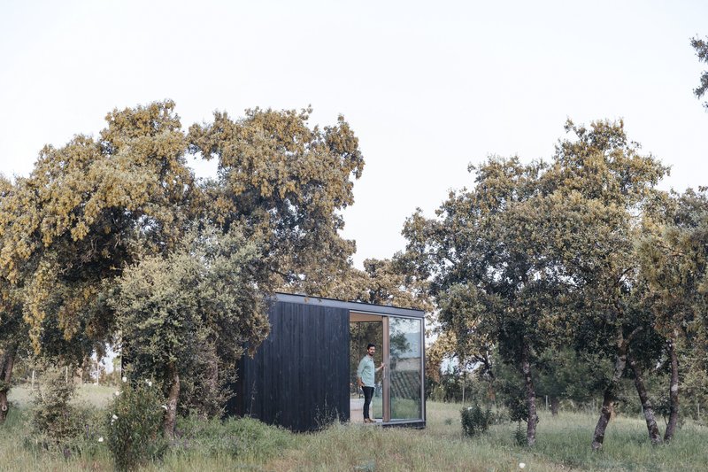 Charred timber-clad volume with glazed corner and figure in doorway among scattered oak trees