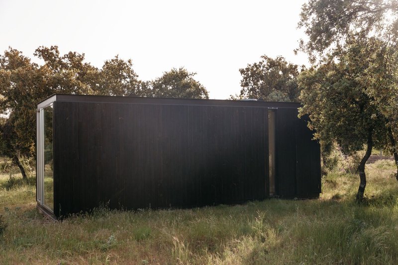 Long blackened wood facade with corner glazing and recessed doorway in golden afternoon light
