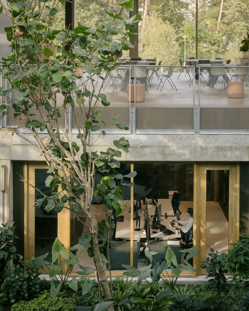 Courtyard view showing planted ground level and upper terrace with perforated metal balustrade