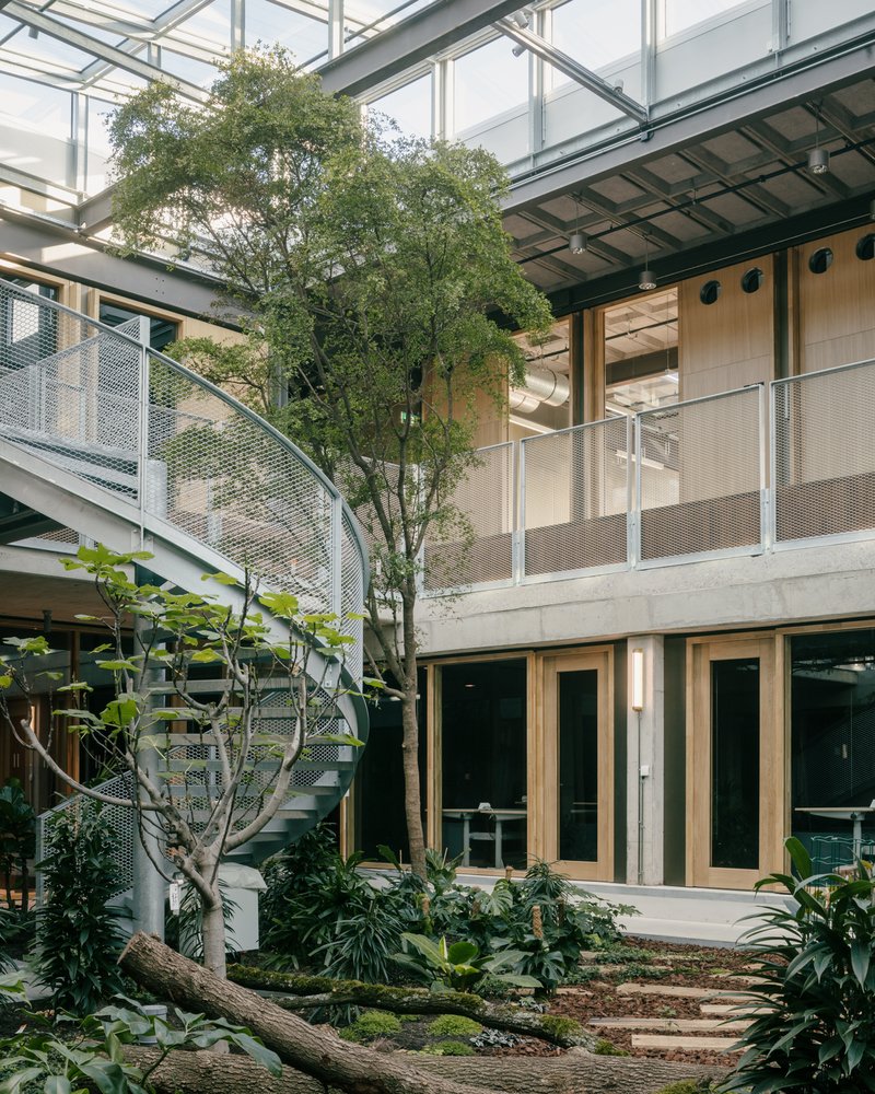Indoor garden courtyard with tree, planted beds and steel staircase under glazed roof