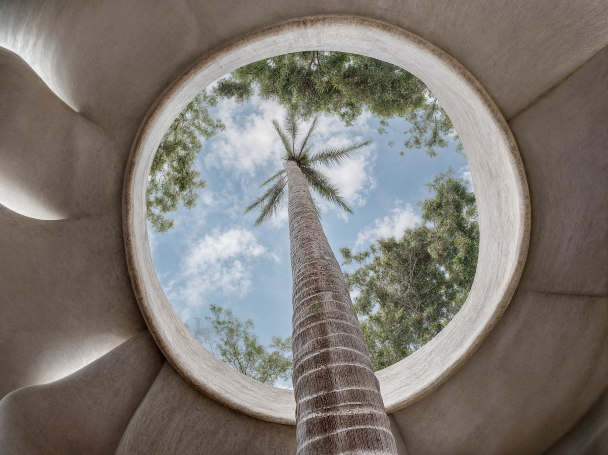 MA Estudio Sculpts a Ferrocement Womb in the Jungles of Yelapa for Tarasana Healing Center