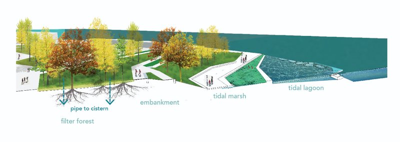 Tidal Marsh &amp; Lagoon – Integrated water filtration and ecological restoration through urban design.