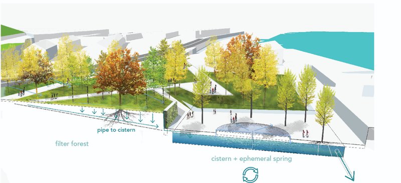 Filter Forest &amp; Cistern – A self-sustaining water purification system in a native forest setting.