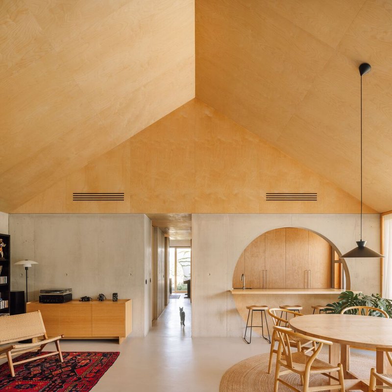 Open-plan living space with plywood vaulted ceiling, concrete walls, and arched kitchen niche