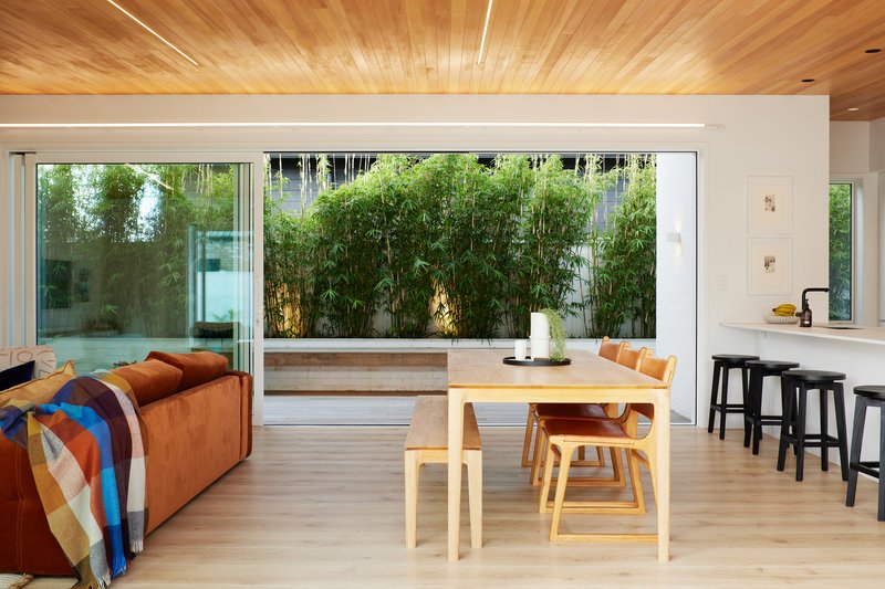 Open plan living and dining space with timber ceiling looking out to bamboo-planted courtyard