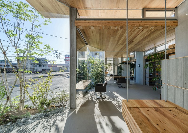 View from timber deck through glass walls to planted courtyard with trees and gravel bed