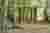 Z.O.P. Builds a Circular Earth Colonnade in a Slovenian Forest, One Workshop at a Time