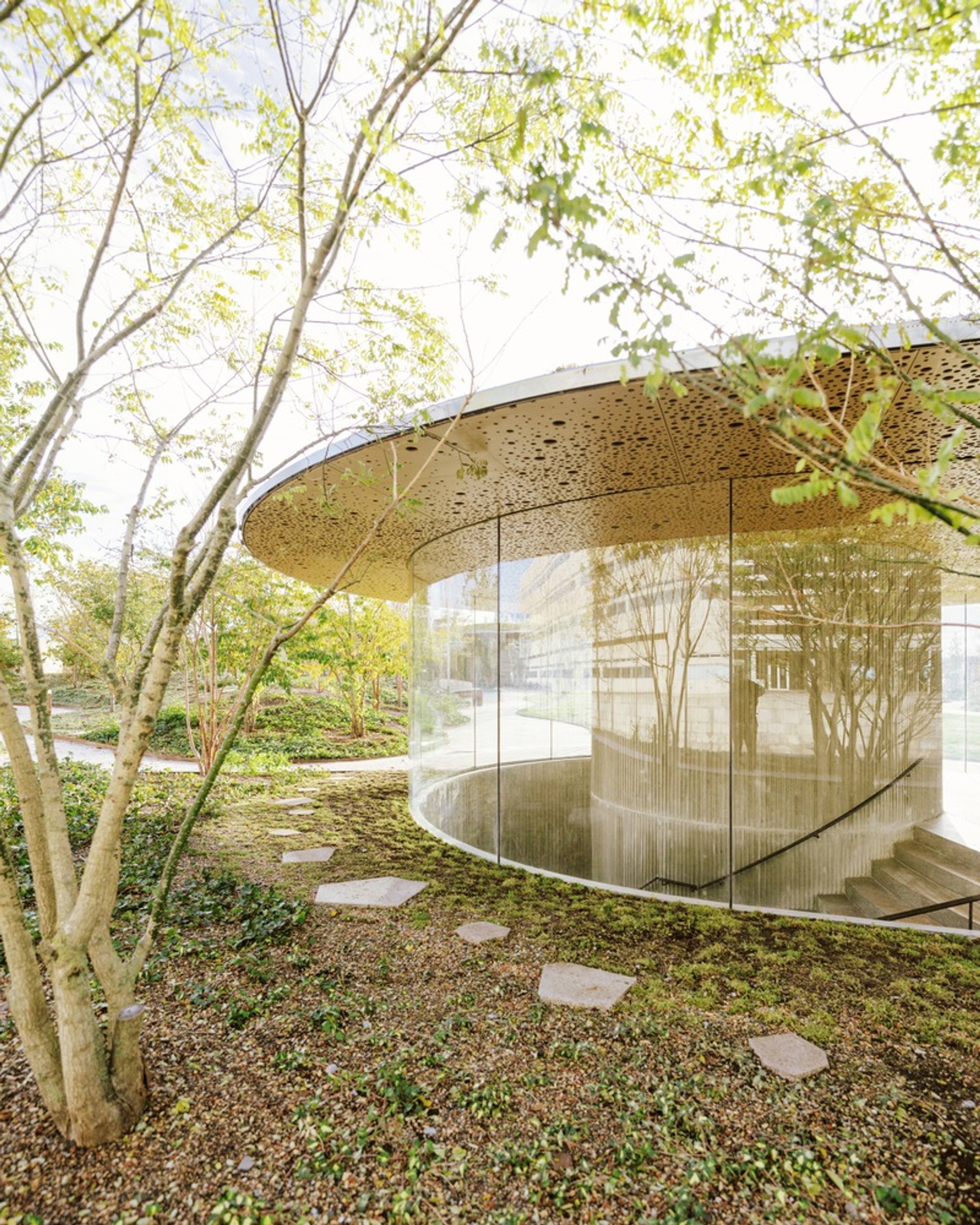 Cobe Turns a Bare Copenhagen Island into a 21,500 m² Climate-Resilient Park with Six World Gardens