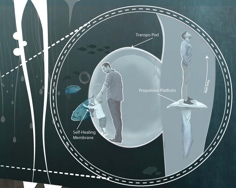 Transpo Pod Entry – Seamless underwater access with self-healing membrane technology.