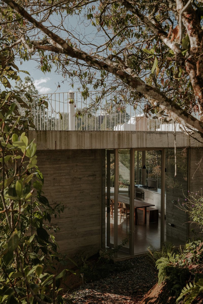 Board-formed concrete facade with floor-to-ceiling glazing revealing dining area seen through overhanging tree branches