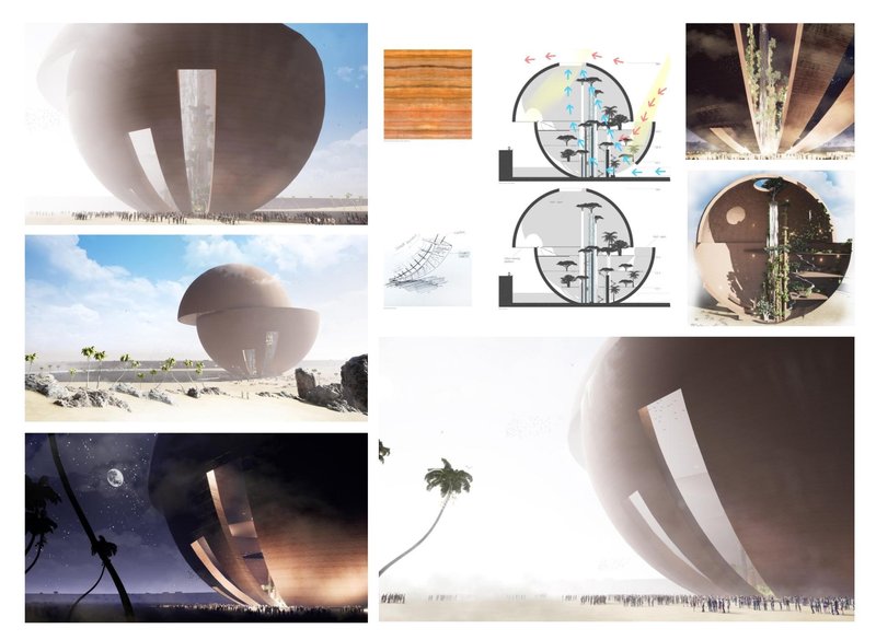 Team212020 08 18T21 50 000007