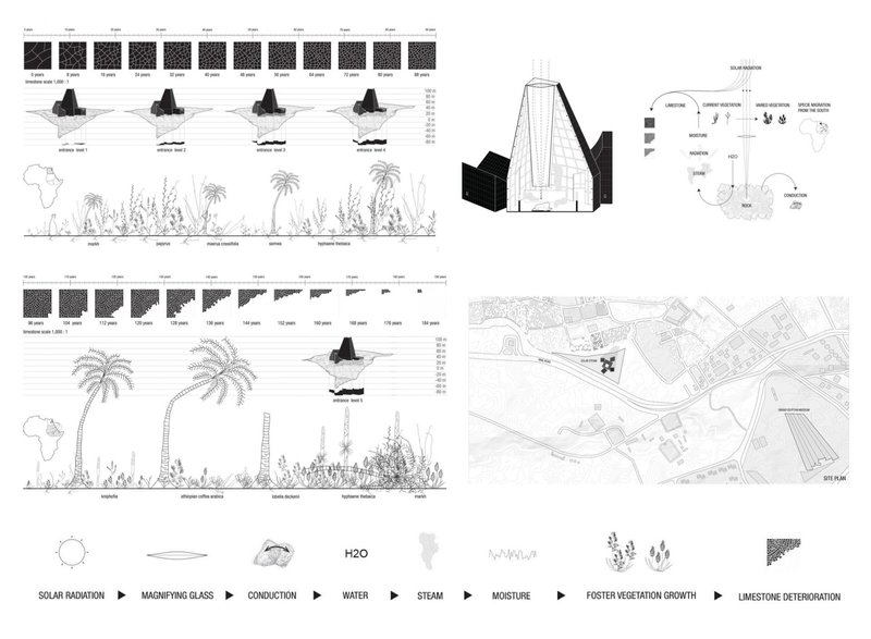 Team212020 08 18T21 50 000014