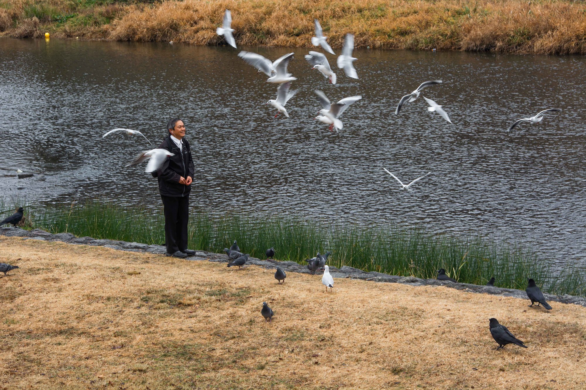 A HUMAN-SATURATED NATURE