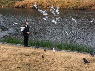 A HUMAN-SATURATED NATURE