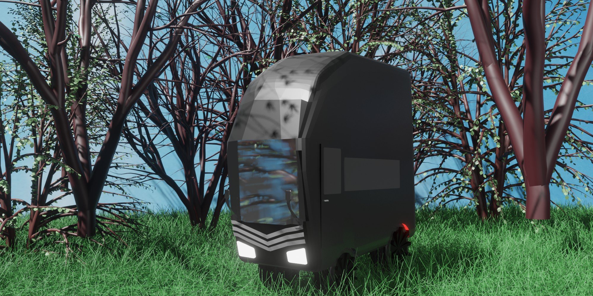 Amphibian way of Life