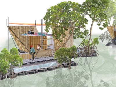 The Mangrove Society