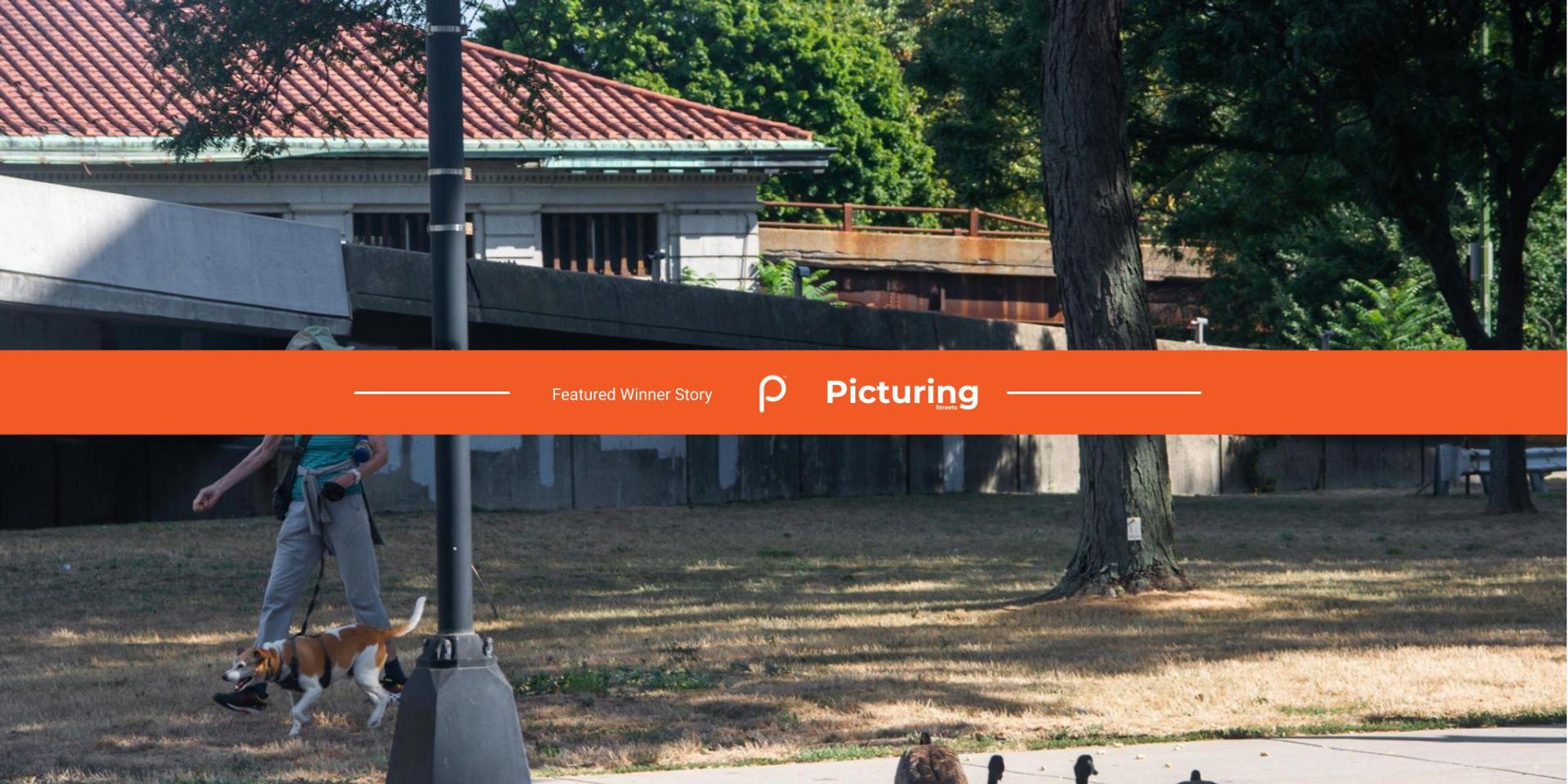 Discovering global streets through visual stories