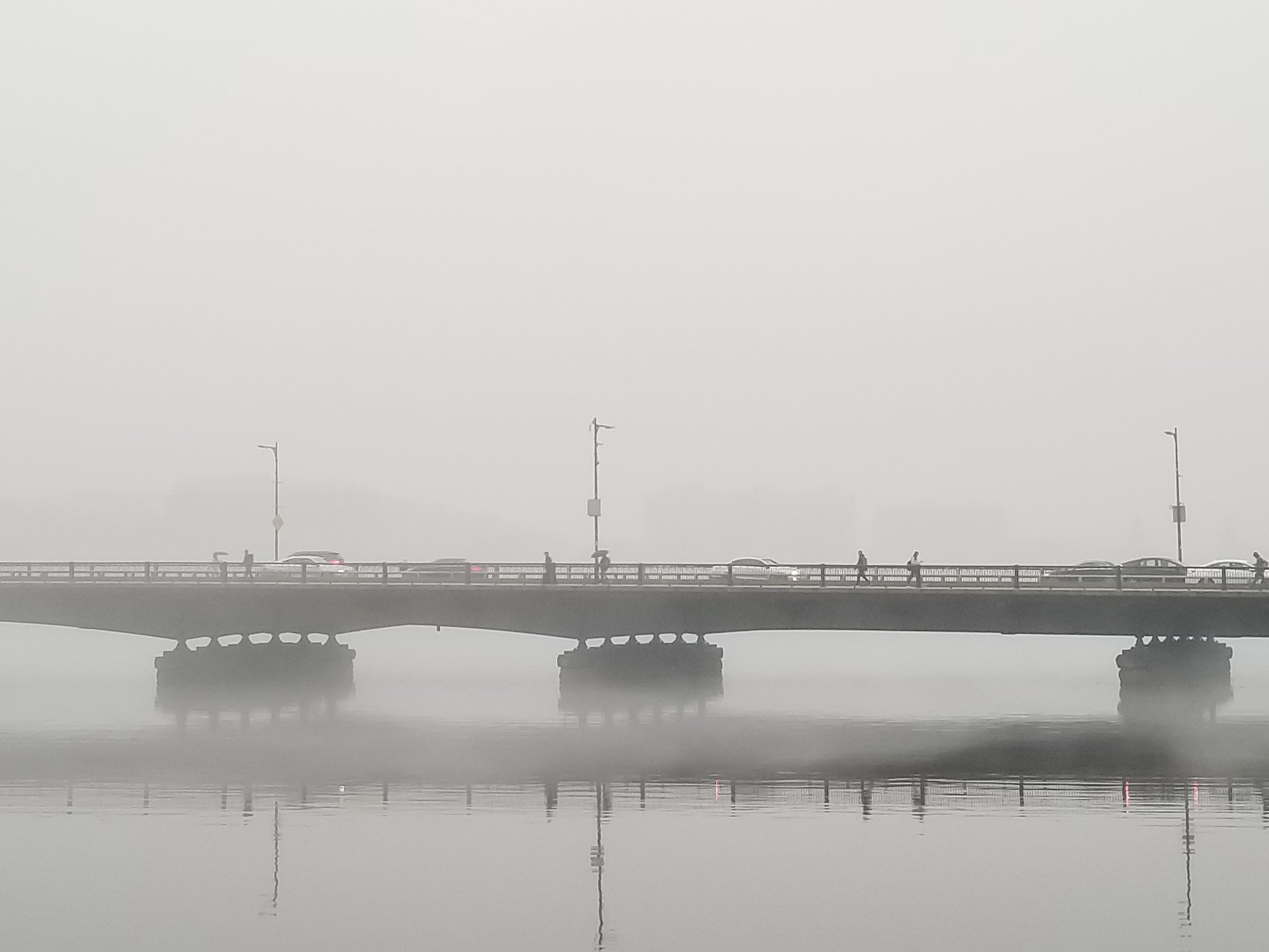 A DAY OF NATURE'S INVASION