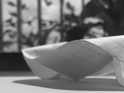 Pavilion Form explorations