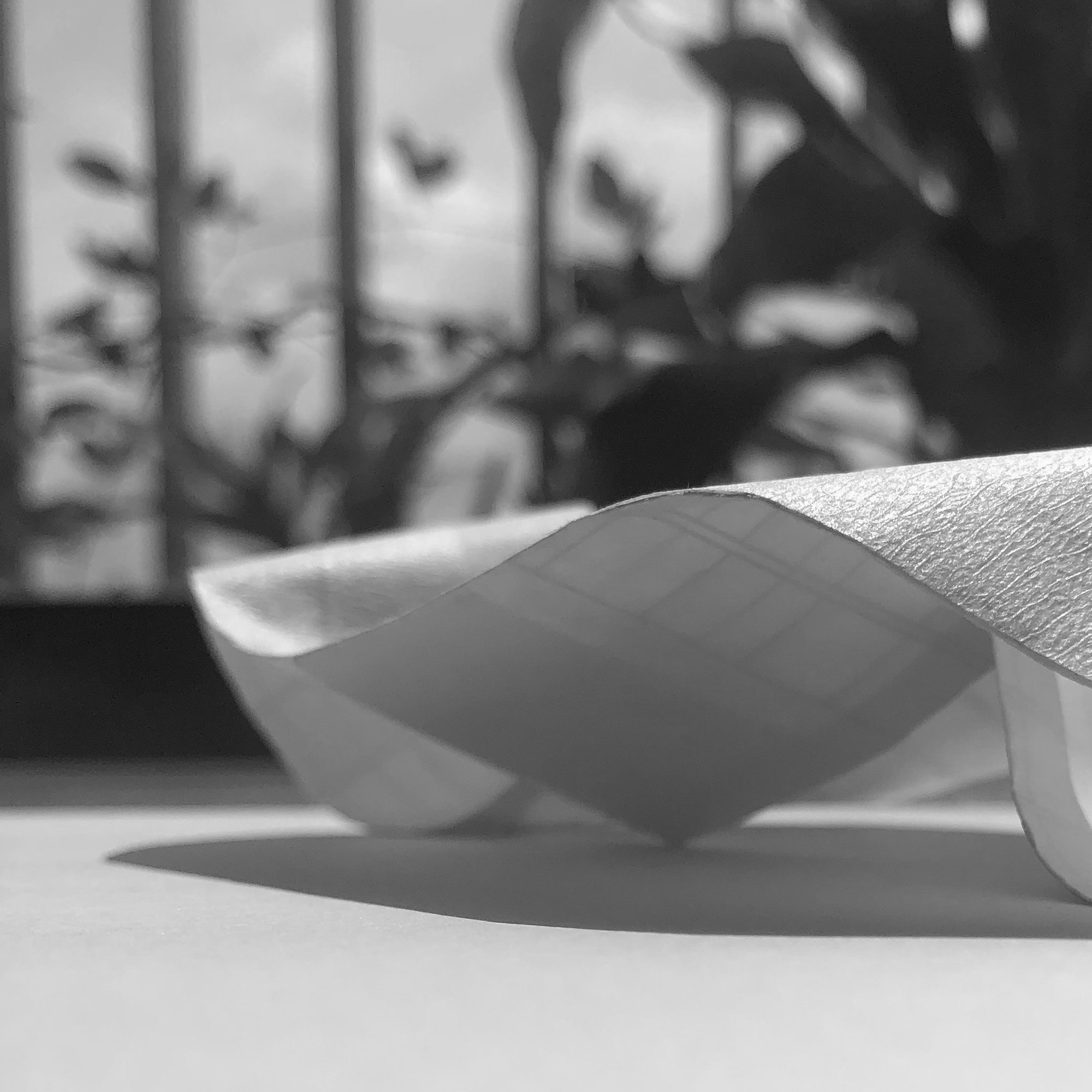 Pavilion Form explorations