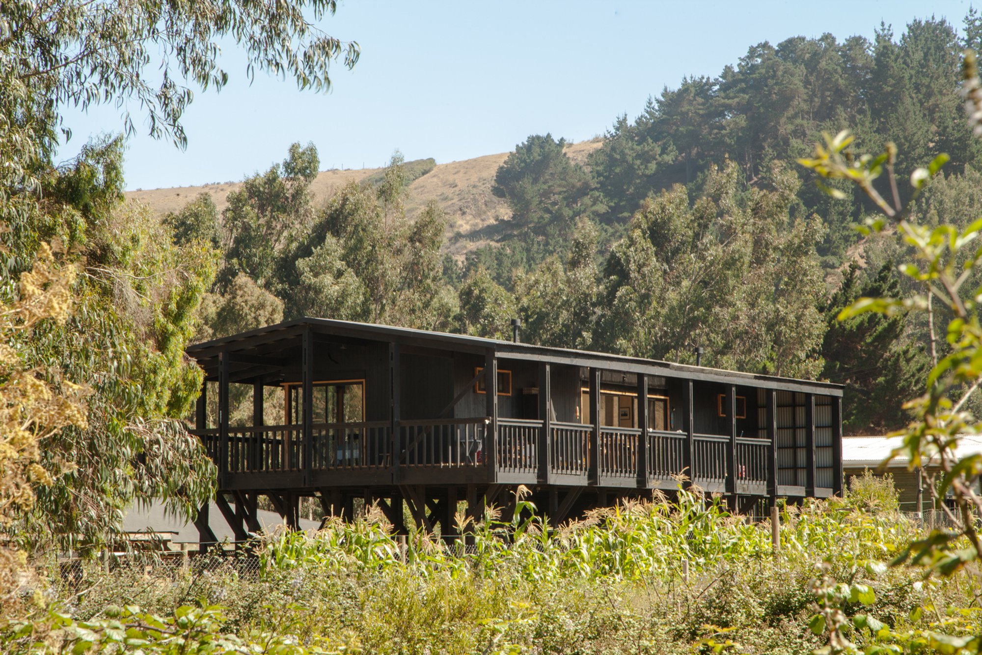 Modular Wooden Houses: Unveiling the Las Brisas House by Abarca Palma Arquitectos