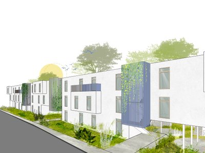 Sustainable Coliving Architecture: The Fusion of Community and Nature in Reforest.comm