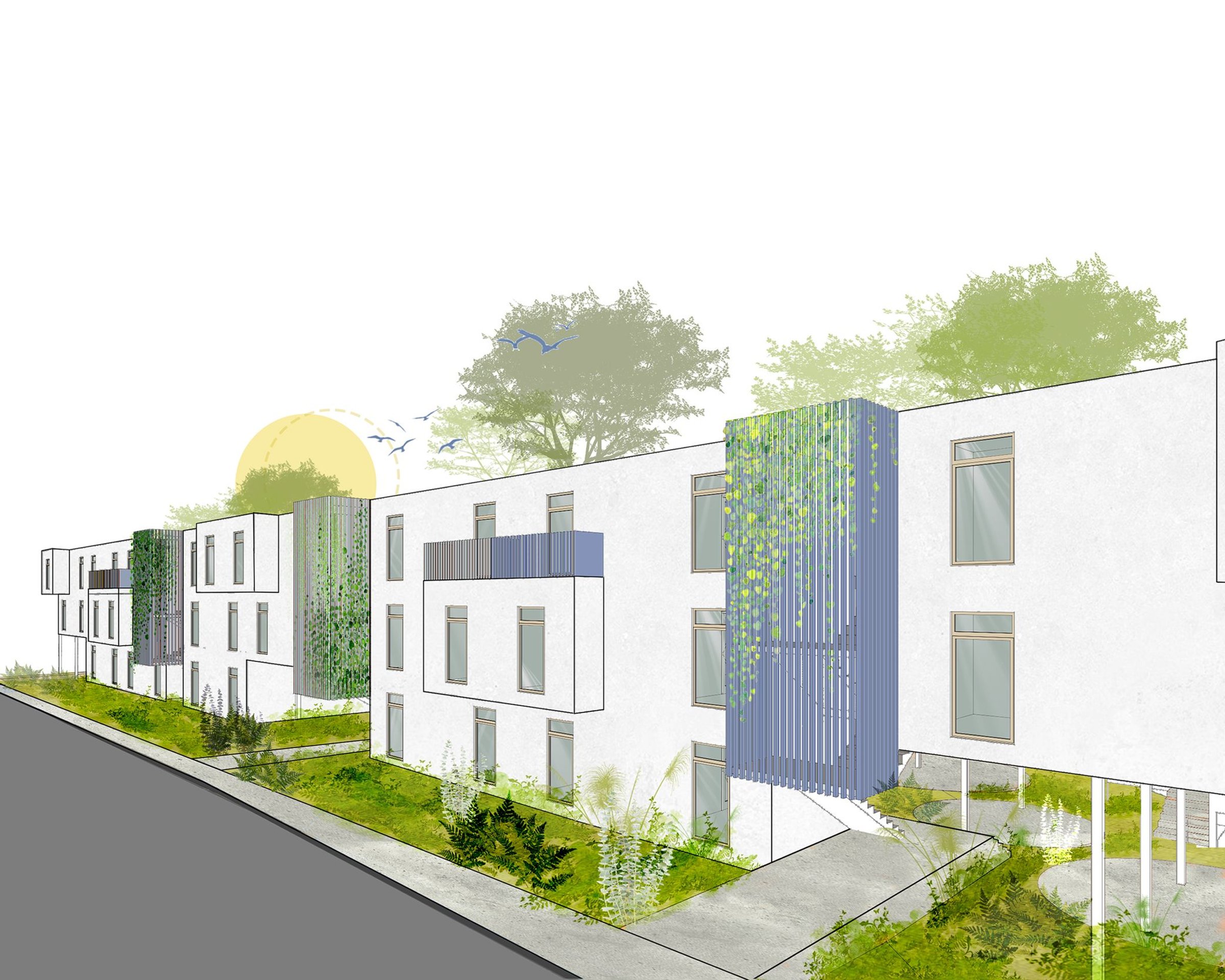 Sustainable Coliving Architecture: The Fusion of Community and Nature in Reforest.comm