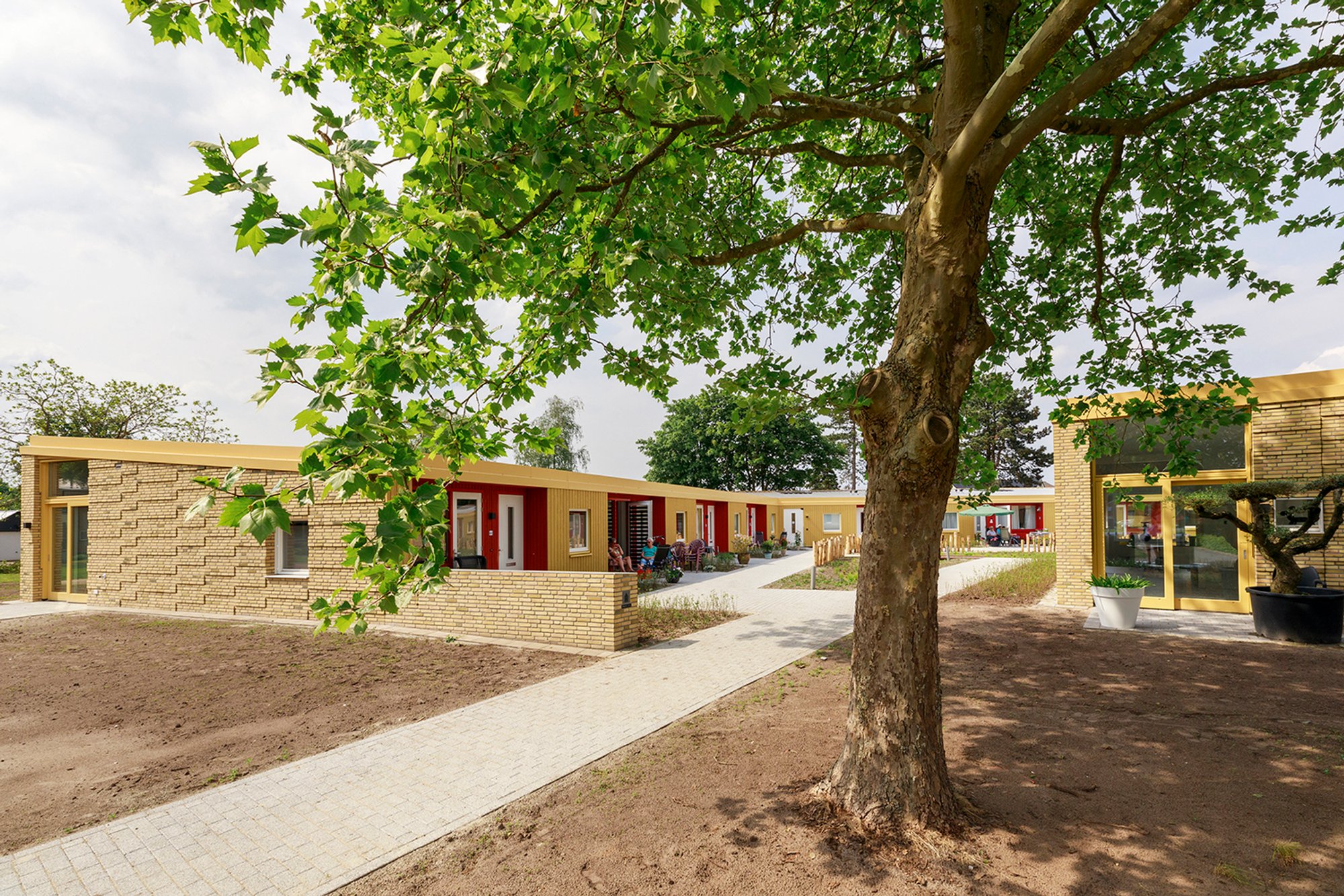 Sustainable Elderly Community Design: The Elzenhof Veenoord Courtyard Experience