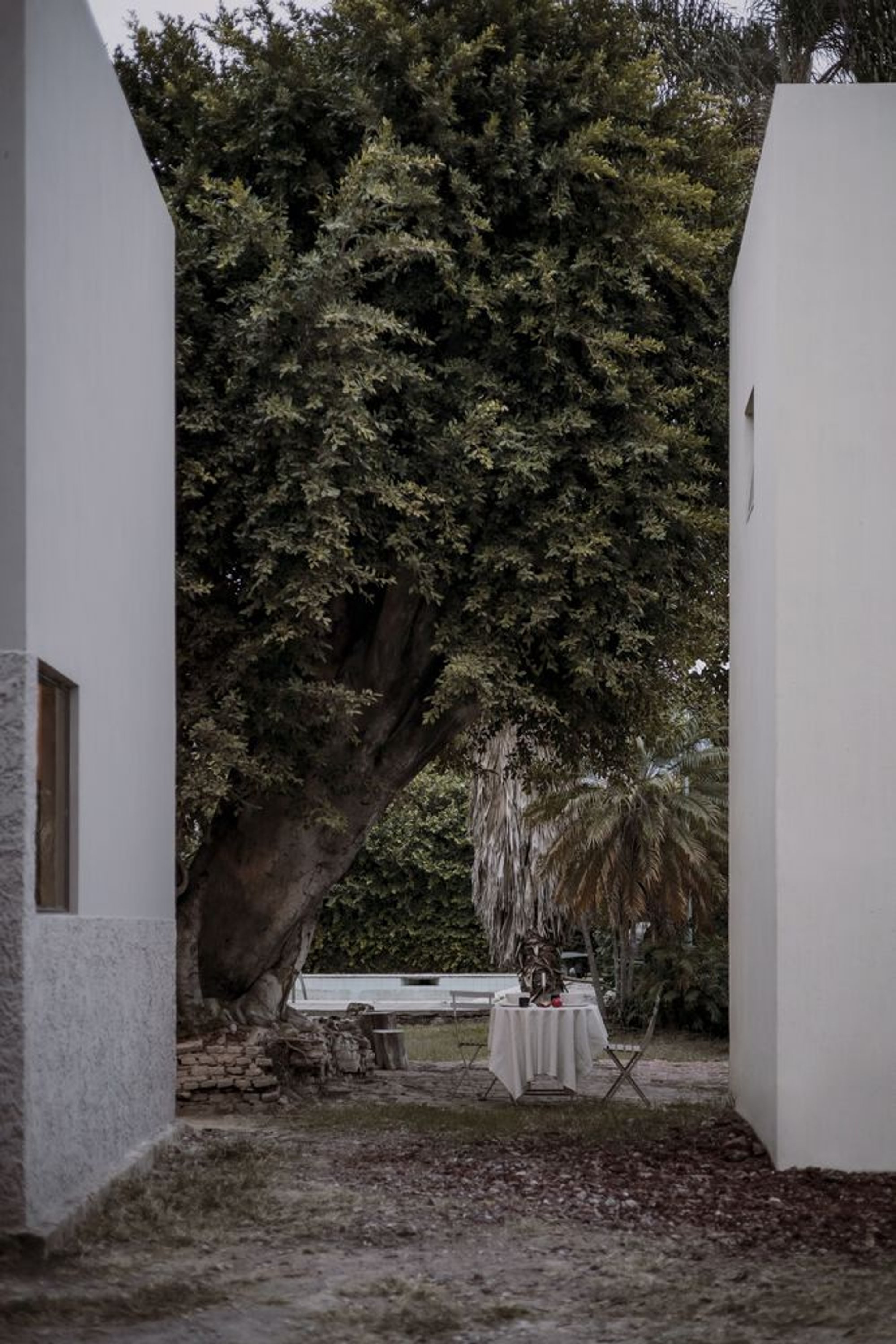 Sustainable Architecture in Mexico: A Case Study of Tonalli House by Moisés Sánchez