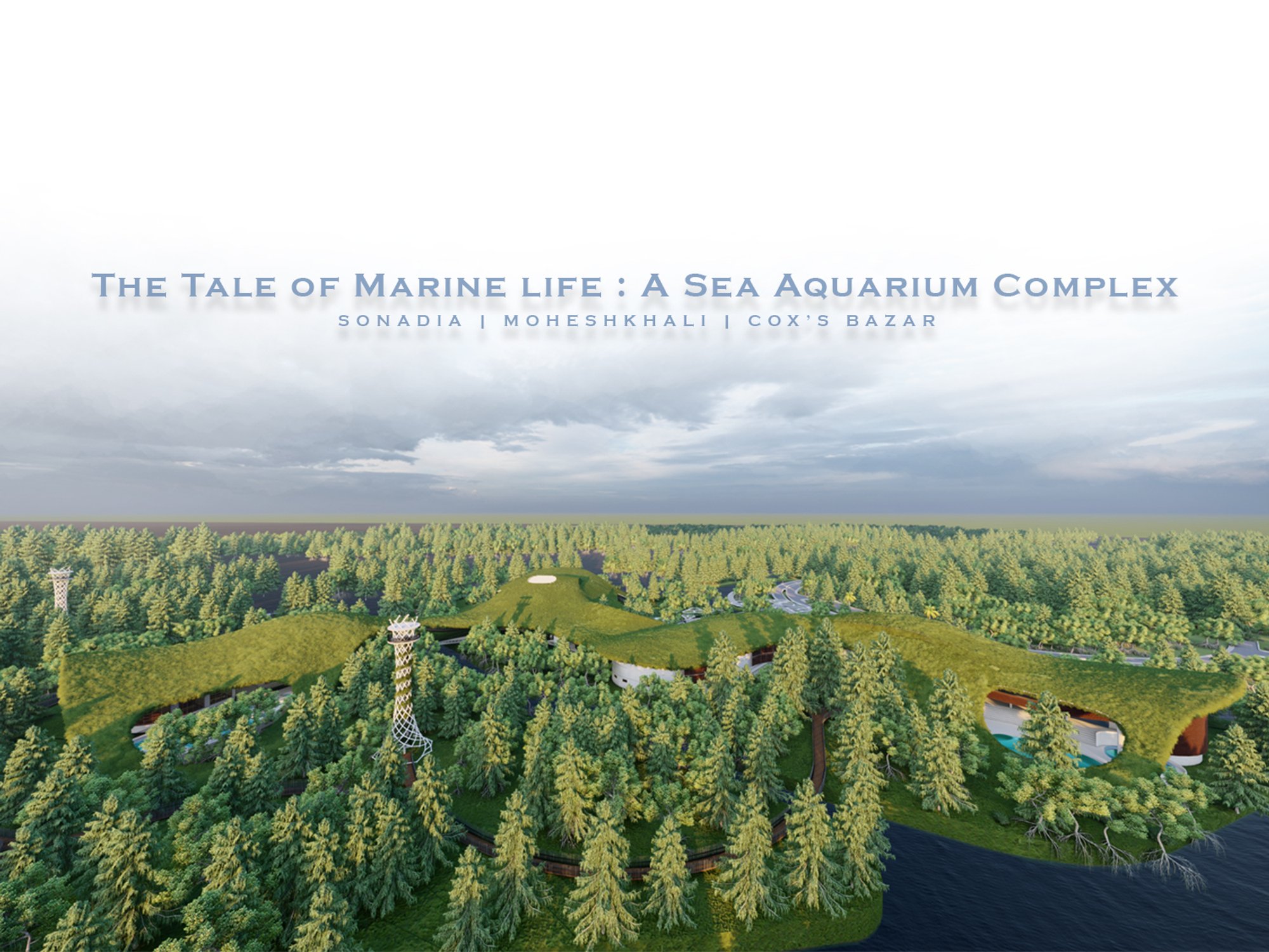 THE TALE OF MARINE LIFE