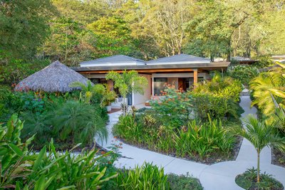 This architectural image showcases a tropical residence with a modern design integrated into a lush 