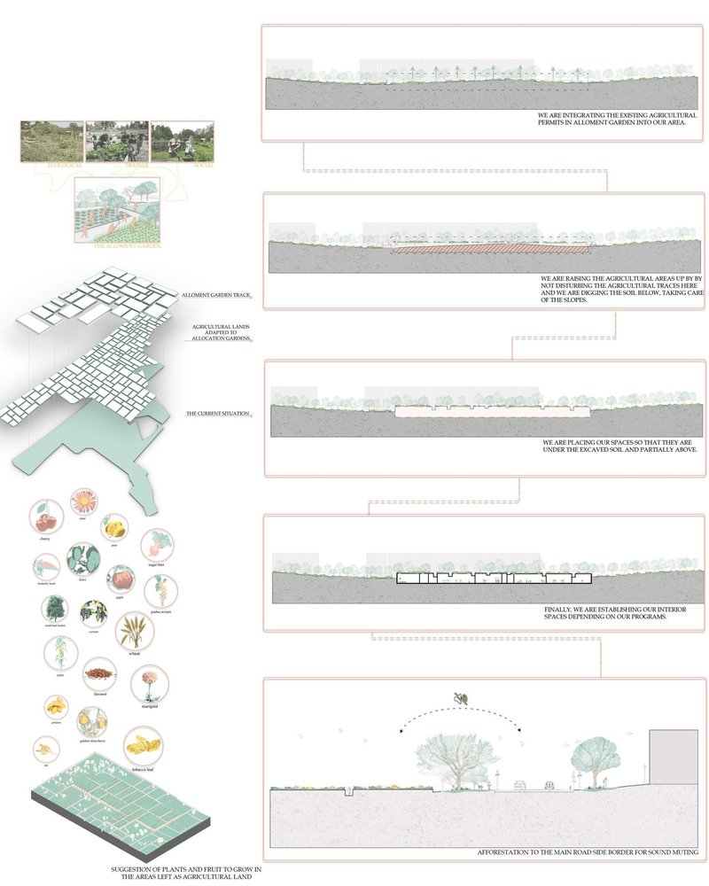 Sectional views of Verdant's agricultural and learning spaces.