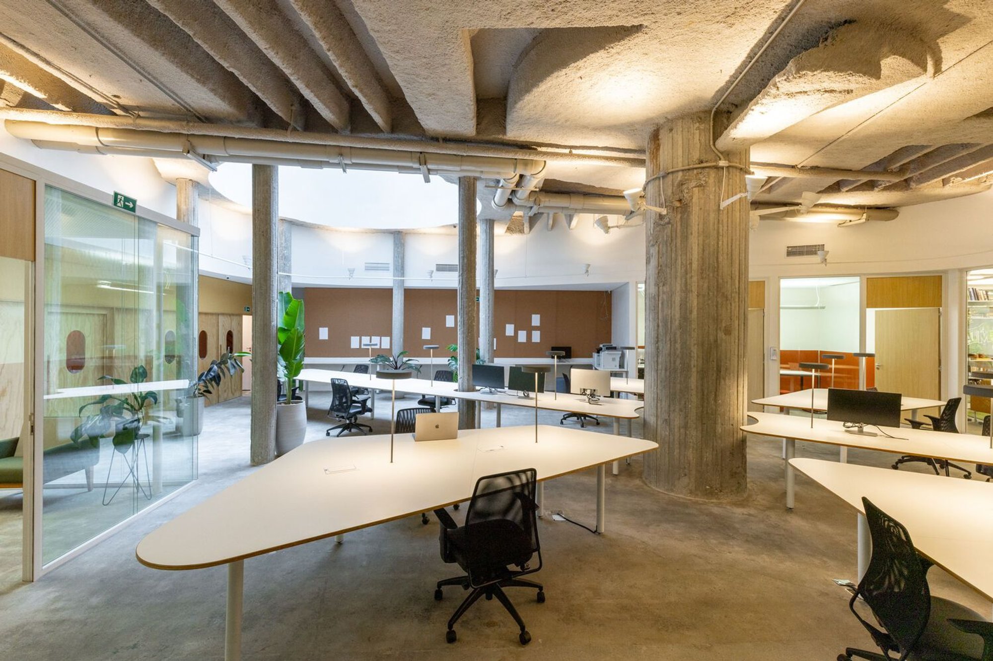 Sustainable Office Design: A Deep Dive into Greenpeace Brazil's New Headquarters