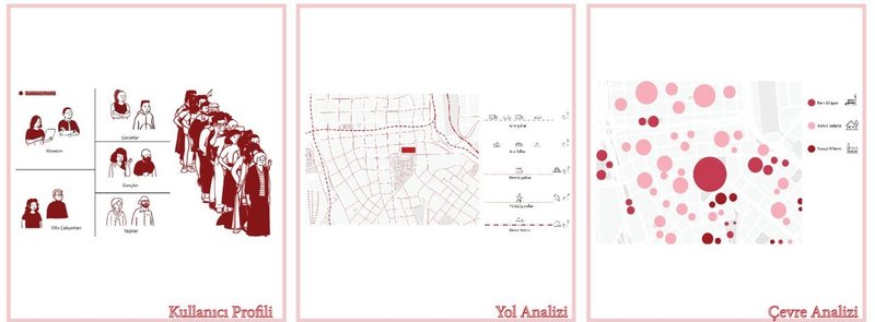 Analyzing user demographics and environment for Buenos Aires project.