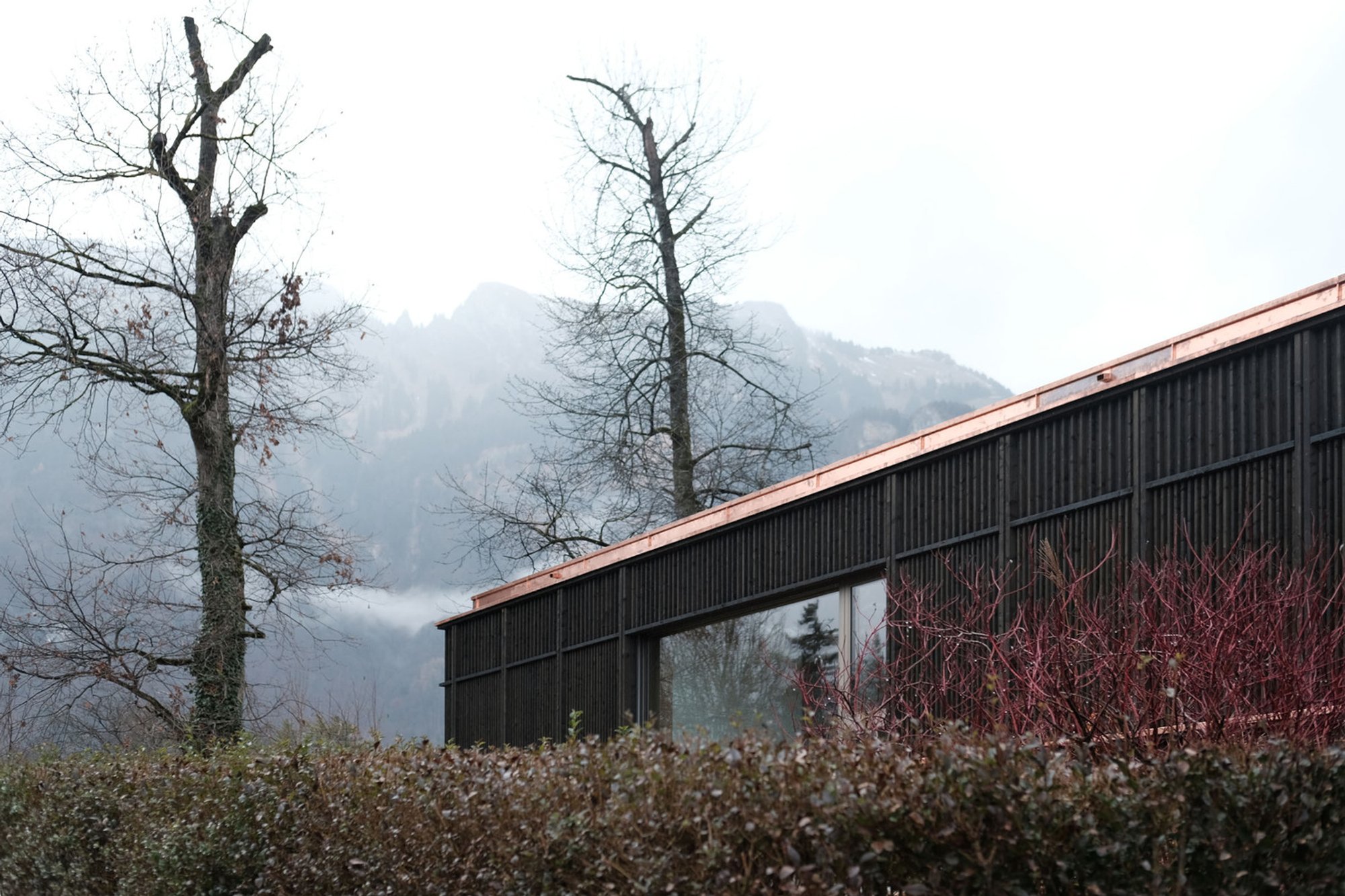 Sustainable House Renovation: The House with Three Gardens by Allen + Crippa