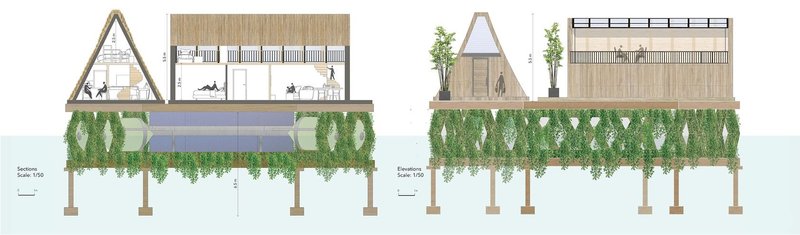 Elevated house sections showcasing sustainable design elements.