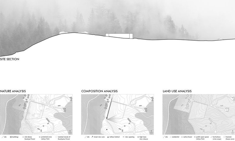 Site section and analysis for Tjukula Jukurrpa project.