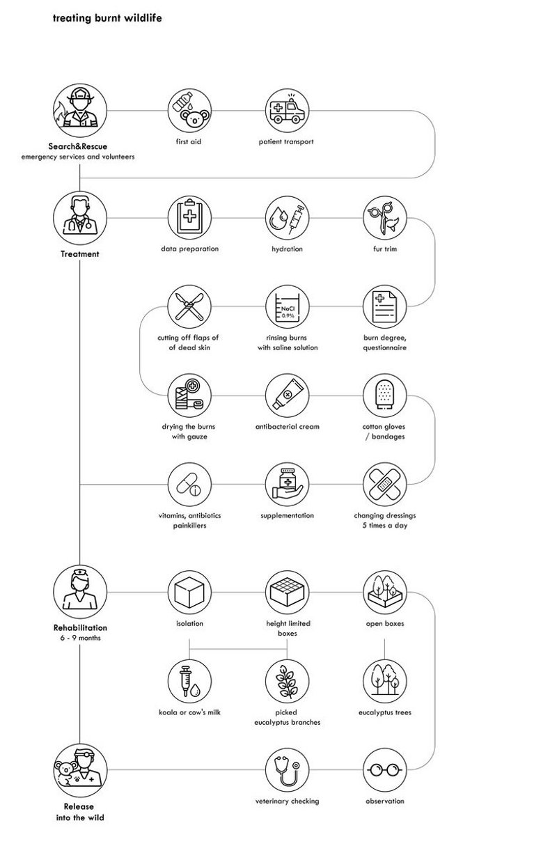 Treatment and rehabilitation process for burnt wildlife.