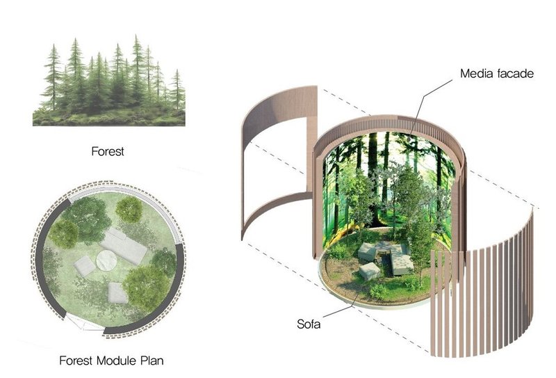 Forest retreat: Immersive haven, nature's calm.