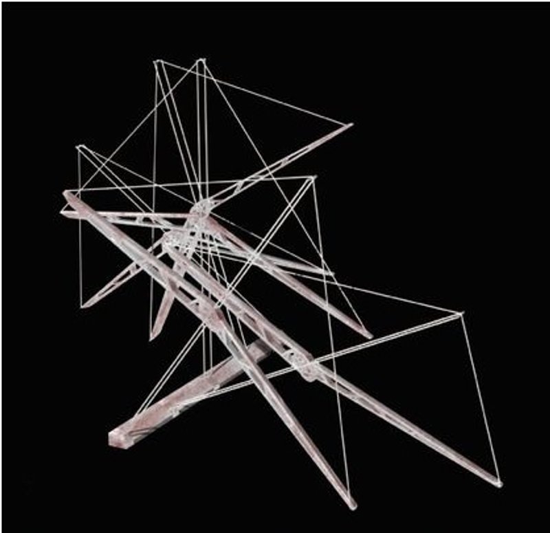 Martian Vein: Water vapor collector structural design.