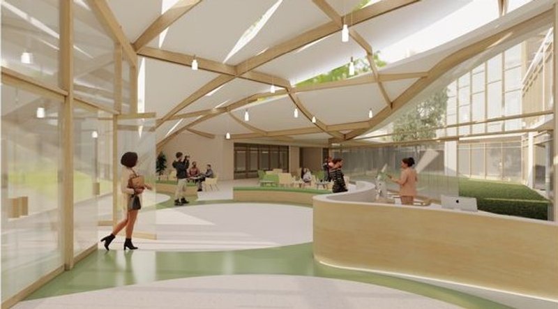 Harmony School's reception area: natural light, wood, and organic forms.