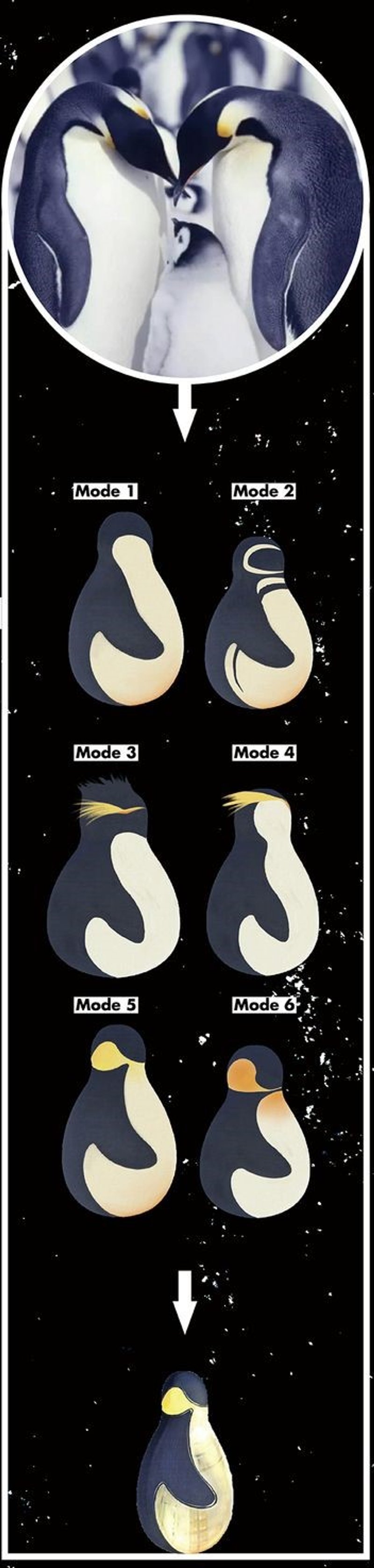 Penguin Module: Dynamic and Playful Lunar Architecture.