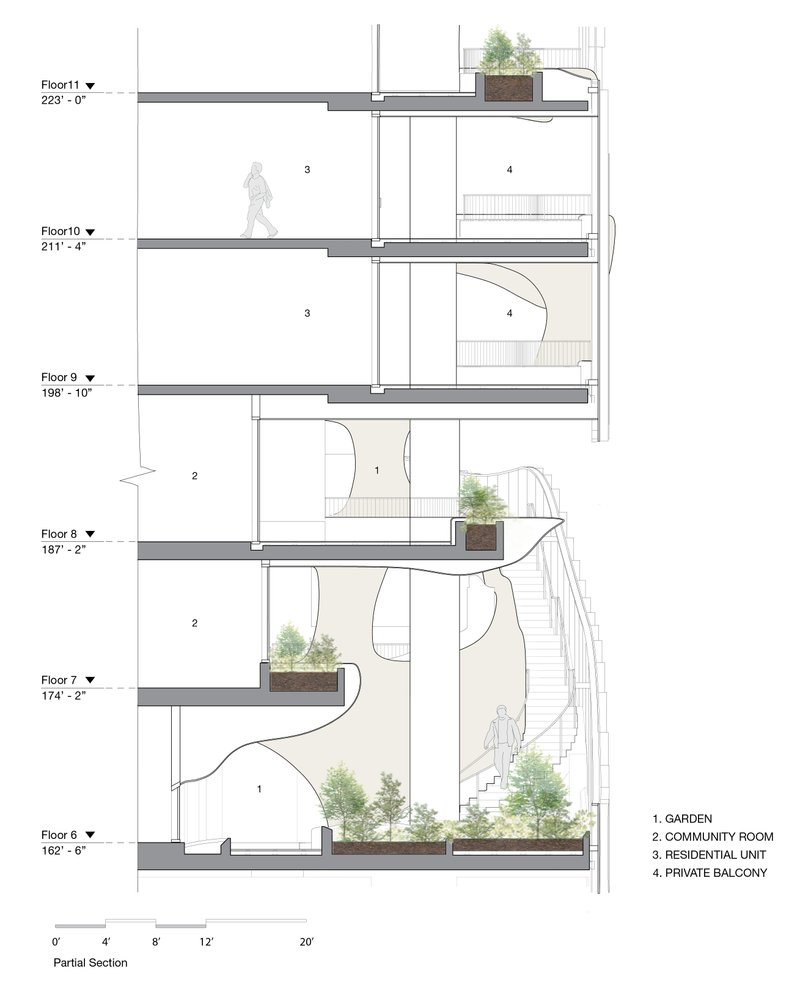Partial Section