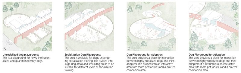 Dog playground stages