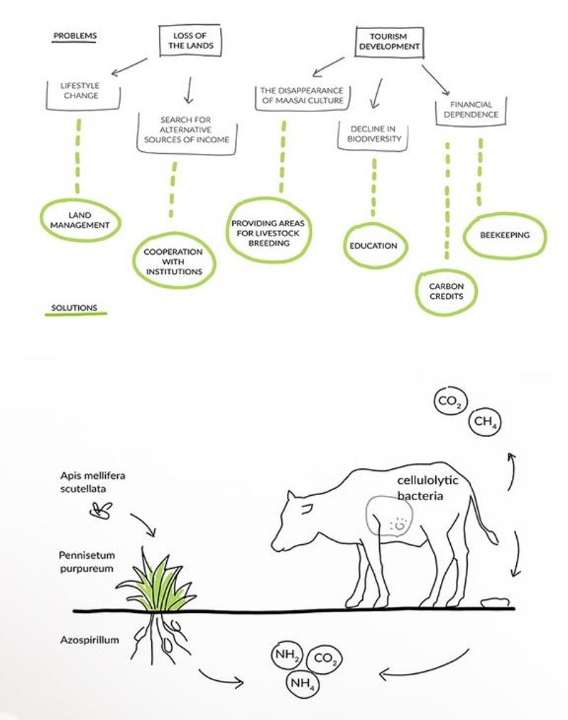 Diagram highlighting challenges and sustainable solutions for the Maasai community.