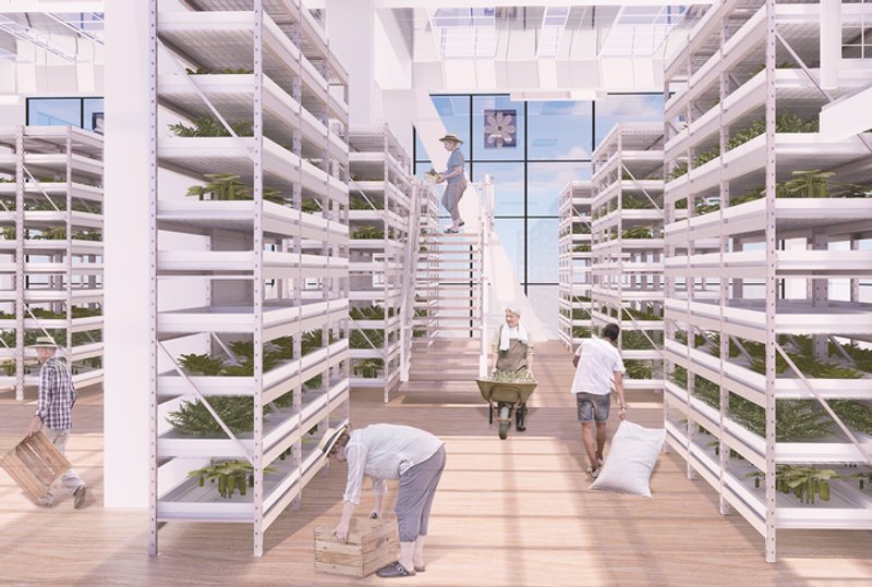 Vertical Farming in Action: Duisburg's Urban Food Oasis