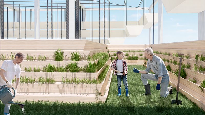 Community Gardening: Cultivating Connections in Duisburg's Vertical Farm