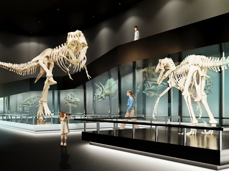 Journey through time: Exploring ancient giants.