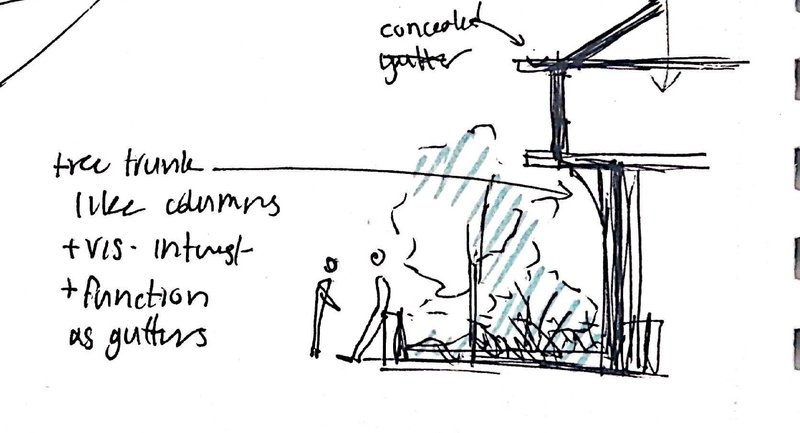 Abeer492024 08 04T18 02 56 703436